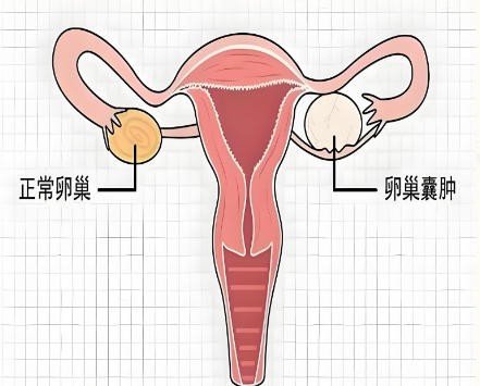 泰安俪人医院