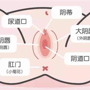 泰安俪人医院医生讲述女性患有阴道炎后要注意什么