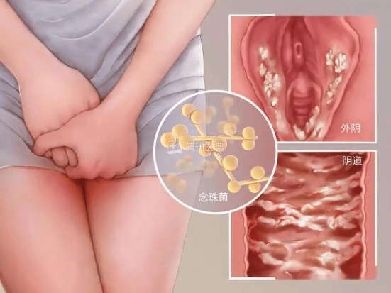 泰安俪人医院 泰安俪人医院