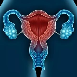 卵巢囊肿的症状表现指哪些？快来看这些介绍