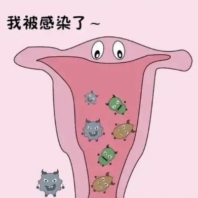 患有阴道炎后的表现有哪些？先来了解这些地方